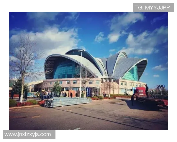 广州排球队的拼搏历程与荣耀时刻全景回顾